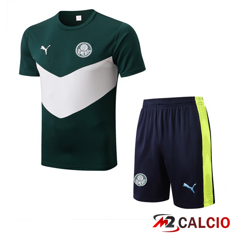 Maglie Calcio Personalizzate,Tute Calcio Squadre,Maglia Nazionale Italiana Calcio | T Shirt Allenamento Palmeiras + Shorts Verde 2022/2023