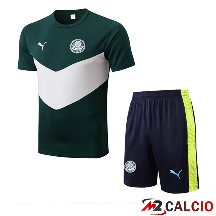 Maglie Calcio Personalizzate,Tute Calcio Squadre,Maglia Nazionale Italiana Calcio | T Shirt Allenamento Palmeiras + Shorts Verde 2022/2023