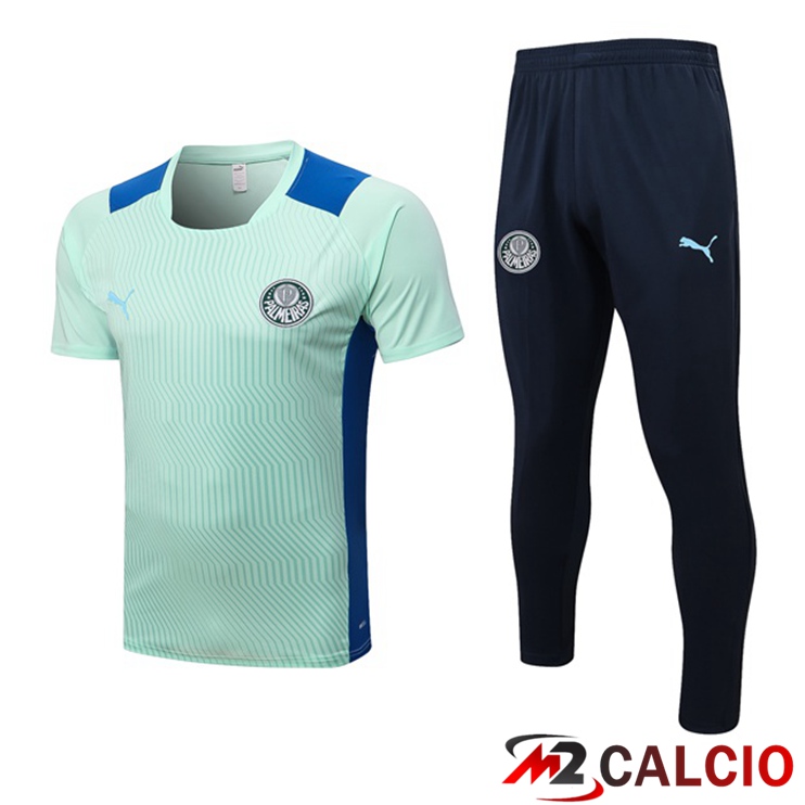 Maglie Calcio Personalizzate,Tute Calcio Squadre,Maglia Nazionale Italiana Calcio | T Shirt Allenamento Palmeiras + Pantaloni Verde 2022/2023