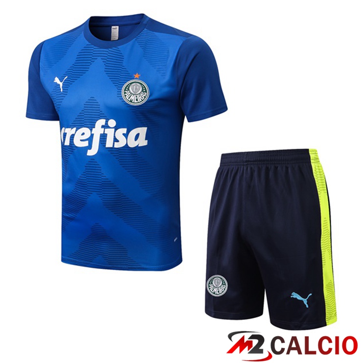 Maglie Calcio Personalizzate,Tute Calcio Squadre,Maglia Nazionale Italiana Calcio | T Shirt Allenamento Palmeiras + Pantaloncini Blu 2022/2023