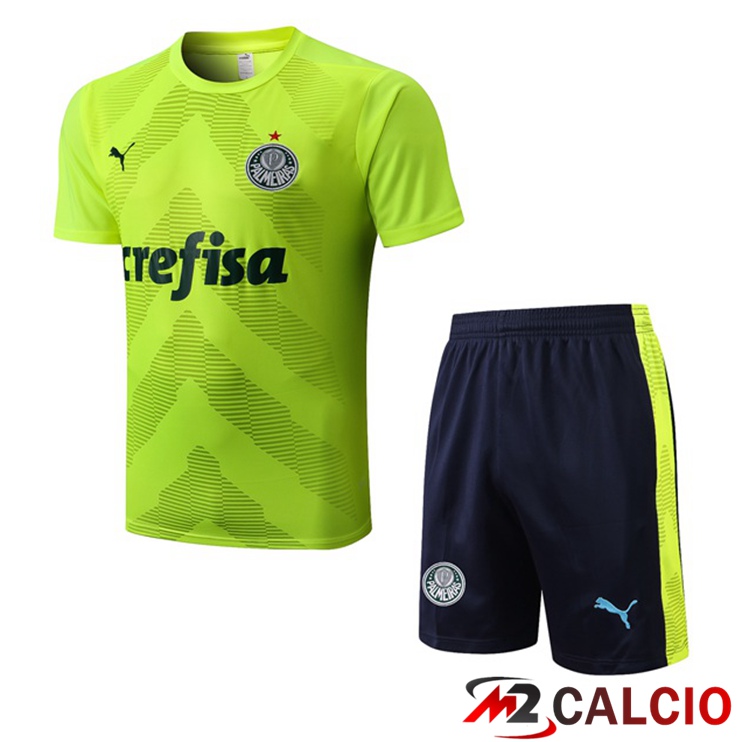 Maglie Calcio Personalizzate,Tute Calcio Squadre,Maglia Nazionale Italiana Calcio | T Shirt Allenamento Palmeiras + Pantaloncini Verde 2022/2023
