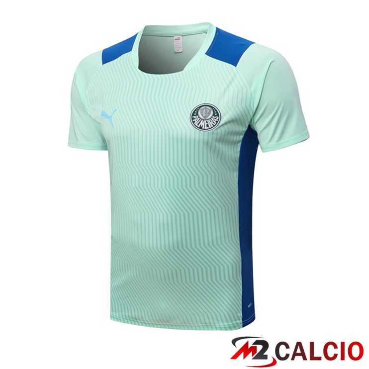 Maglie Calcio Personalizzate,Tute Calcio Squadre,Maglia Nazionale Italiana Calcio | T Shirt Allenamento Palmeiras Verde 2022/2023