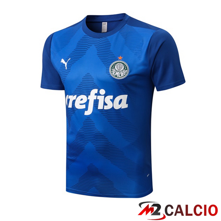 Maglie Calcio Personalizzate,Tute Calcio Squadre,Maglia Nazionale Italiana Calcio | T Shirt Allenamento Palmeiras Blu 2022/2023