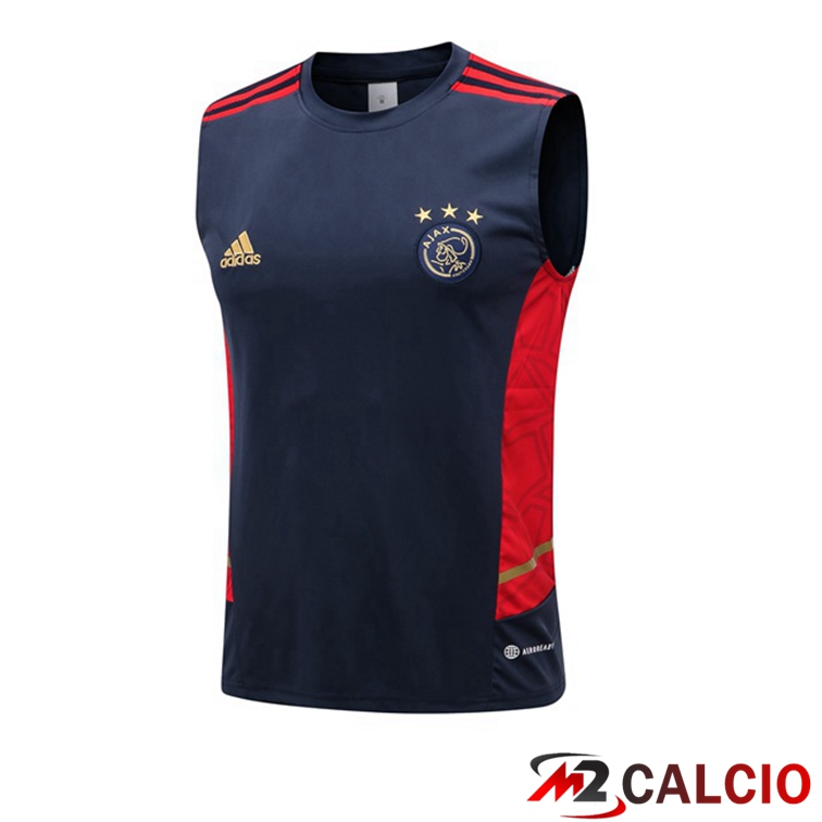 Maglie Calcio Personalizzate,Tute Calcio Squadre,Maglia Nazionale Italiana Calcio | Canotta Calcio AFC Ajax Blu Royal 2022/2023