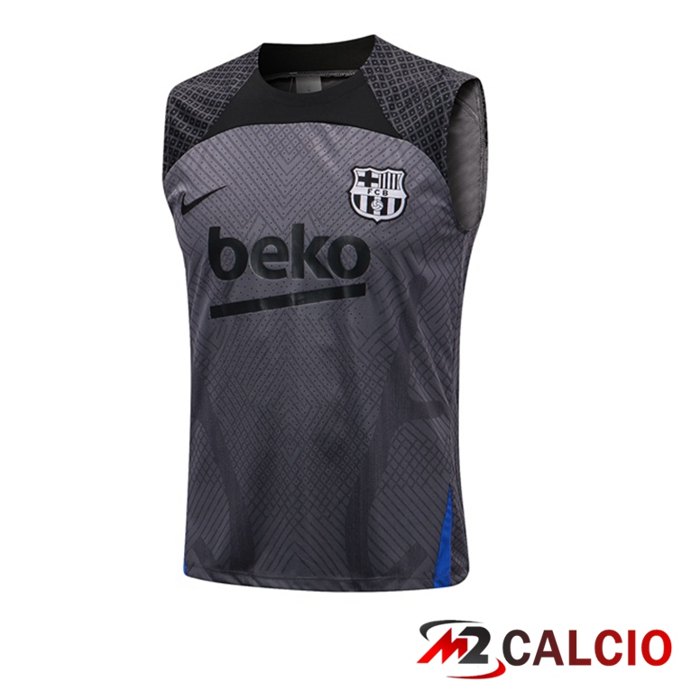 Maglie Calcio Personalizzate,Tute Calcio Squadre,Maglia Nazionale Italiana Calcio | Canotta Calcio FC Barcellona Grigio 2022/2023