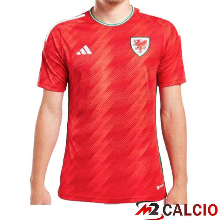 Maglia galles nike on sale