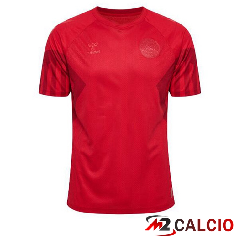 Maglie Calcio Personalizzate,Tute Calcio Squadre,Maglia Nazionale Italiana Calcio | Maglie Calcio Danimarca Prima Rosso Coppa Del Mondo 2022