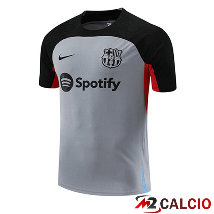 Maglie Calcio Personalizzate,Tute Calcio Squadre,Maglia Nazionale Italiana Calcio | T Shirt Allenamento FC Barcellona Grigio 2023/2024