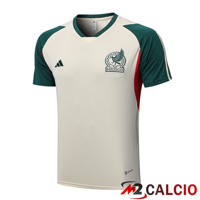 Maglie Calcio Personalizzate,Tute Calcio Squadre,Maglia Nazionale Italiana Calcio | T Shirt Allenamento Messico Marrone 2023/2024