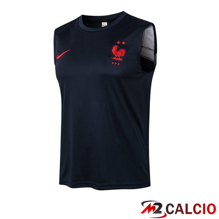 Maglie Calcio Personalizzate,Tute Calcio Squadre,Maglia Nazionale Italiana Calcio | Canotta Calcio Francia Blu Reale 2021/2022
